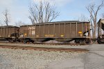 NS 10196